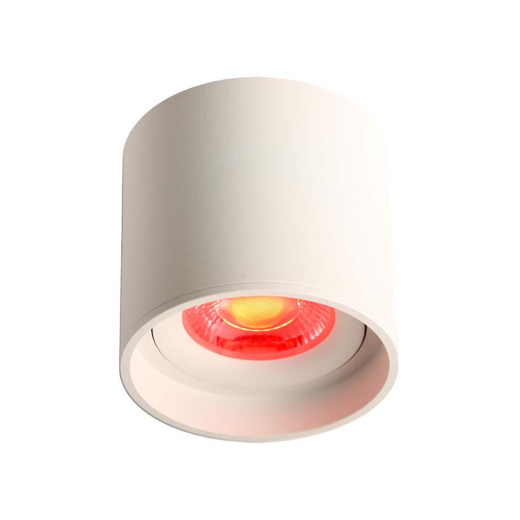 LED Ceiling Spot 24V, 8W, RGBW/3000K, CRI90