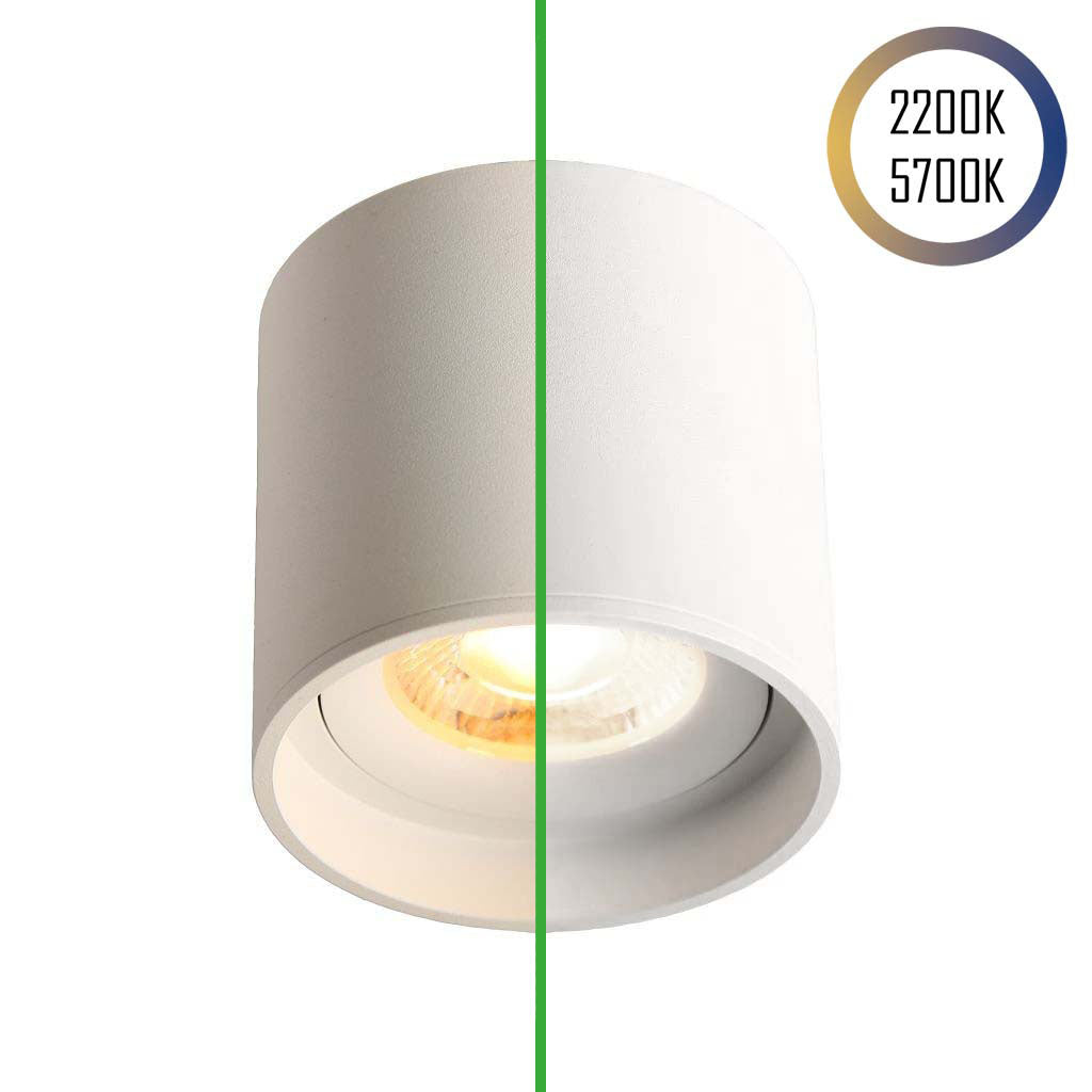 LED Ceiling Spot 24V, 8W, 2200K/5700K, CRI90 (Tuneable White, CCT)